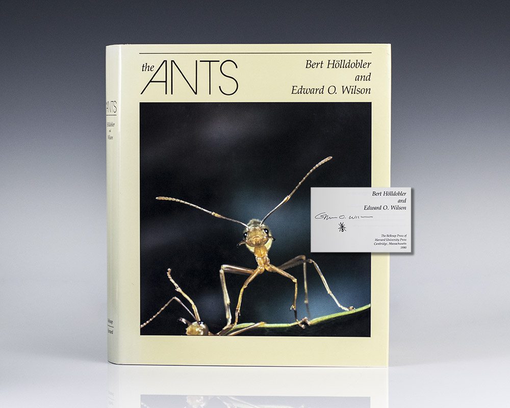 Ants.