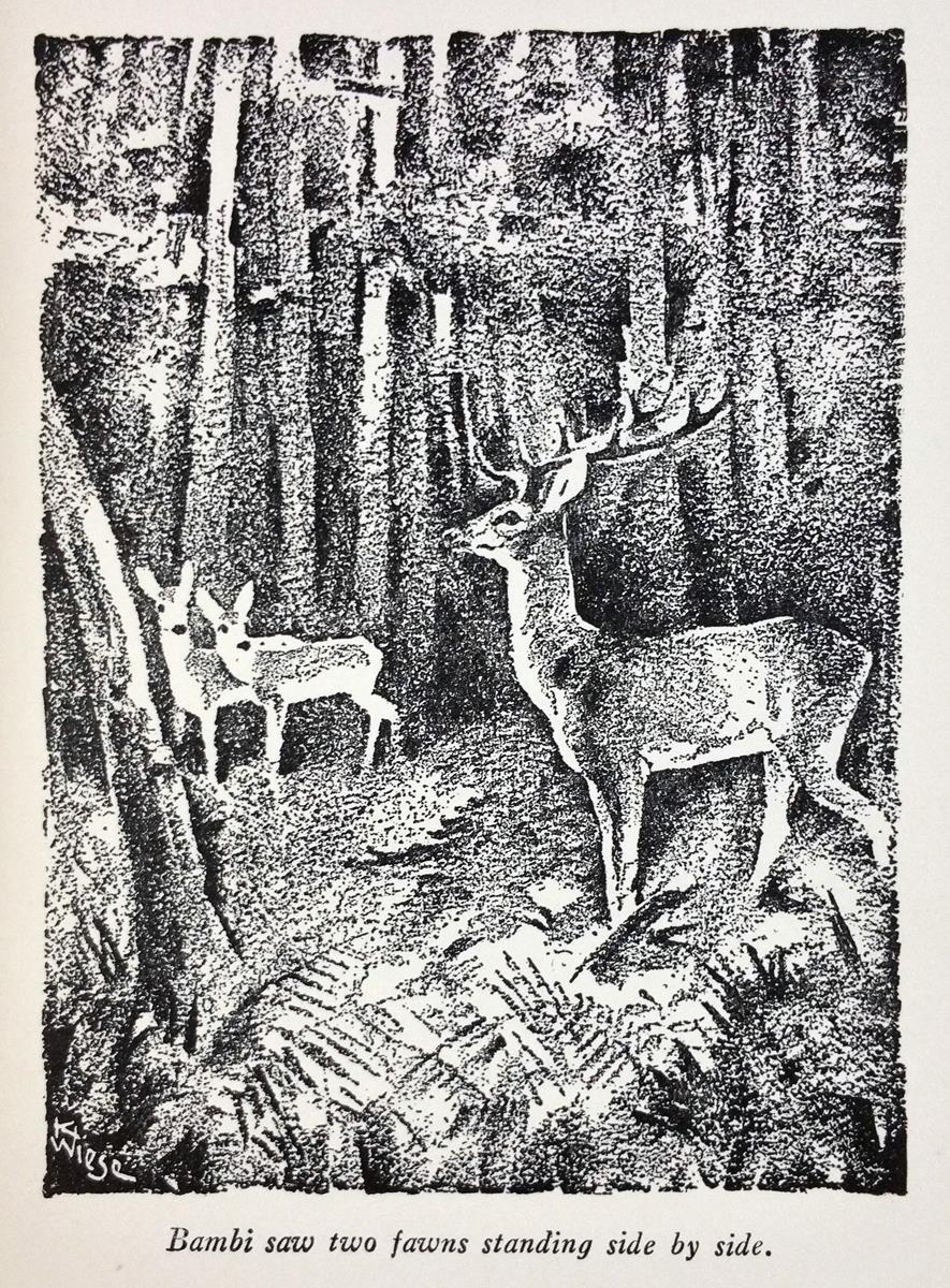 Bambi: A Life in the Woods
