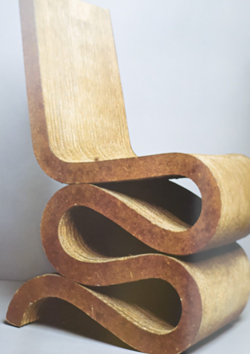 Frank Gehry Architect