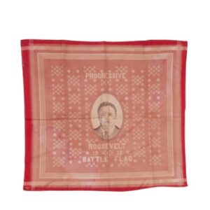 Progressive Era Battle Flag: Theodore Roosevelt.