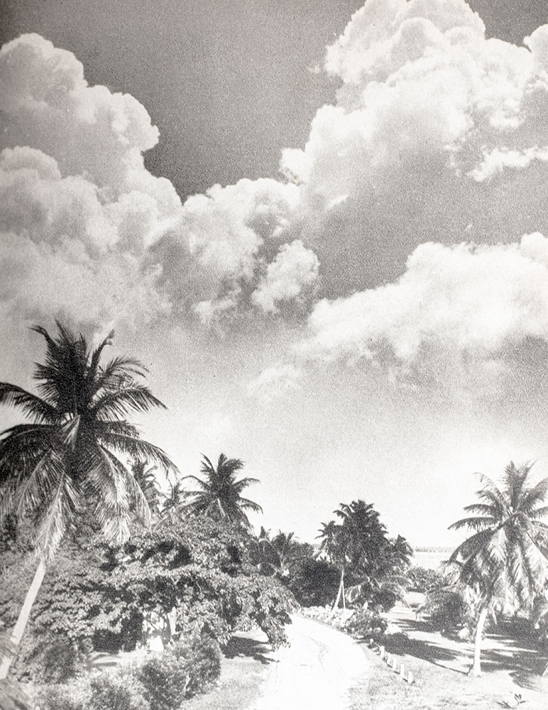 Florida: A Guide to the Southernmost State.