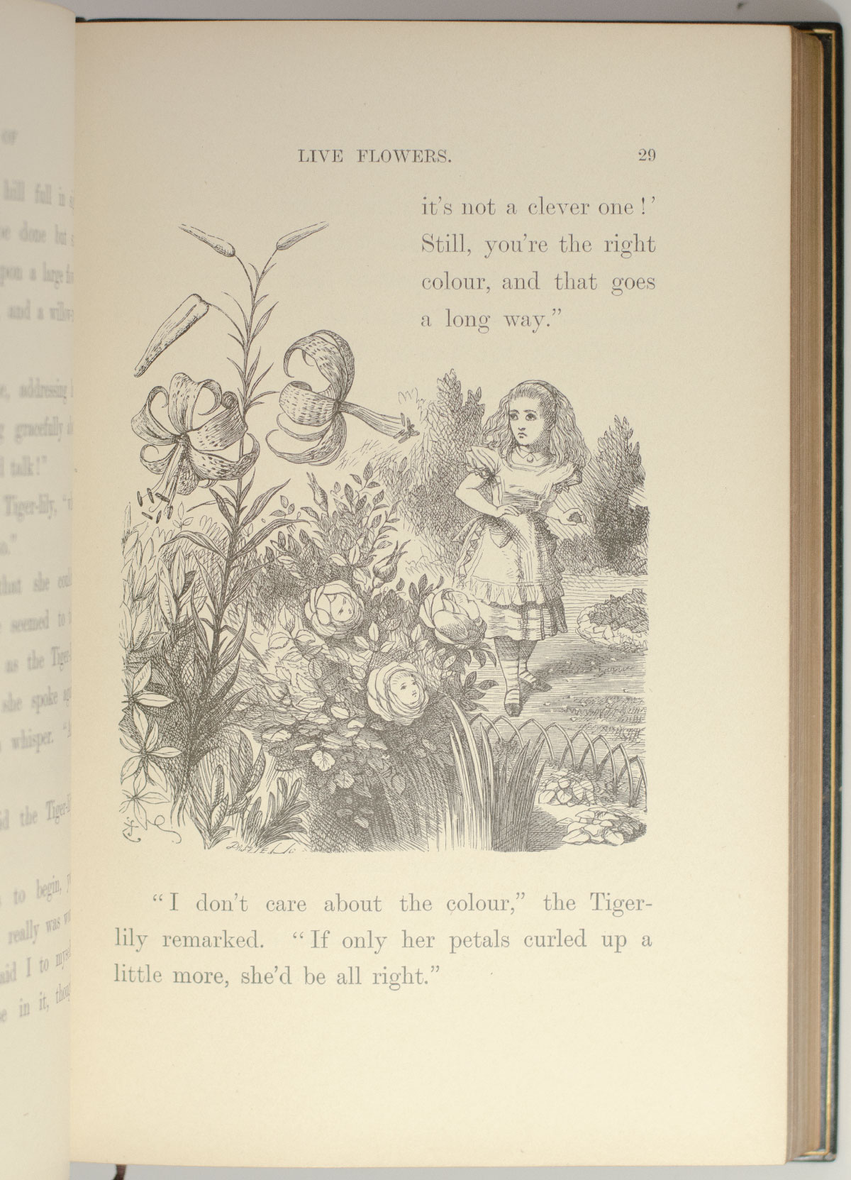 Alice’s Adventures In Wonderland and Through the Looking-Glass.