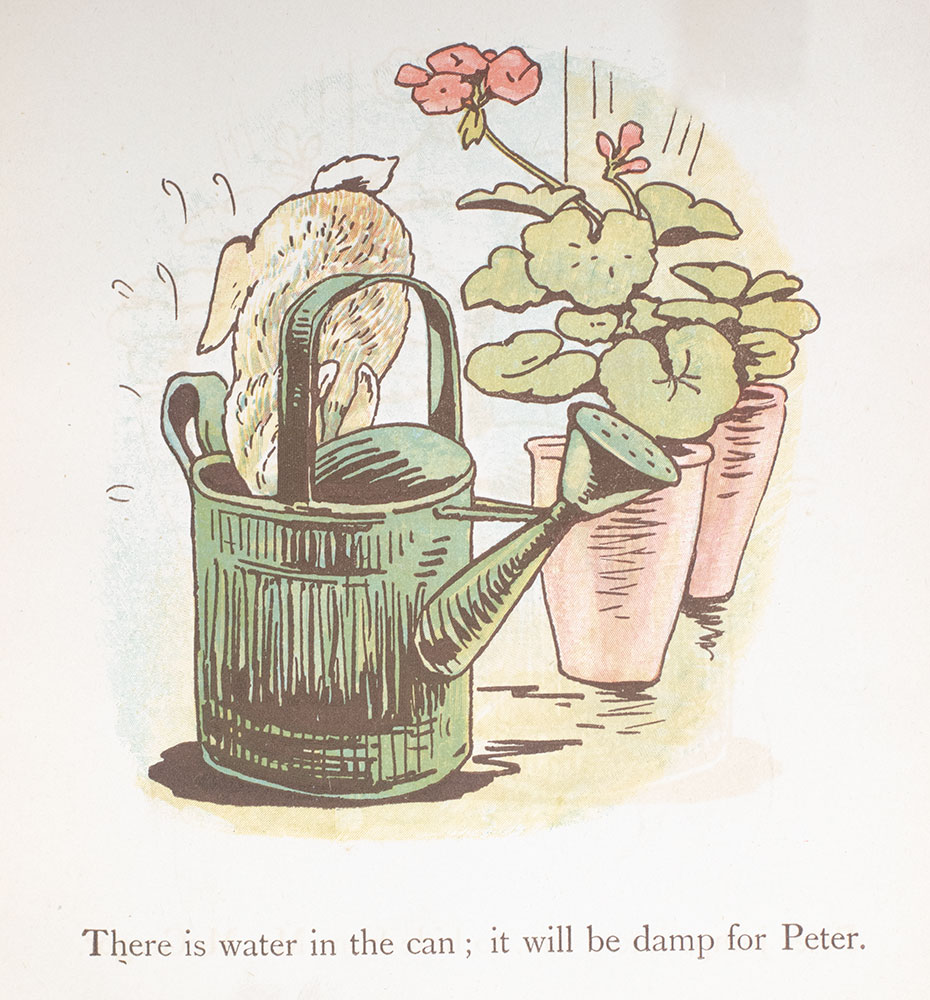 Peter Rabbit's Painting Book.