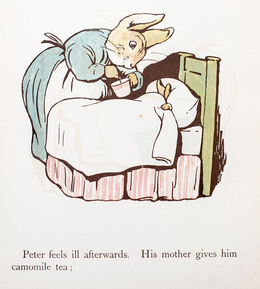 Peter Rabbit's Painting Book.