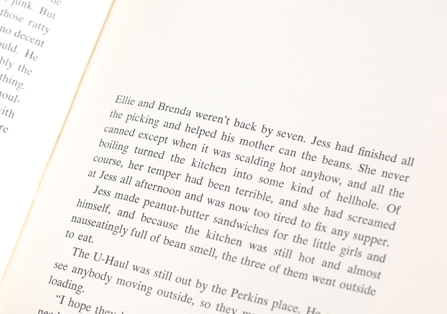 Bridge To Terabithia.