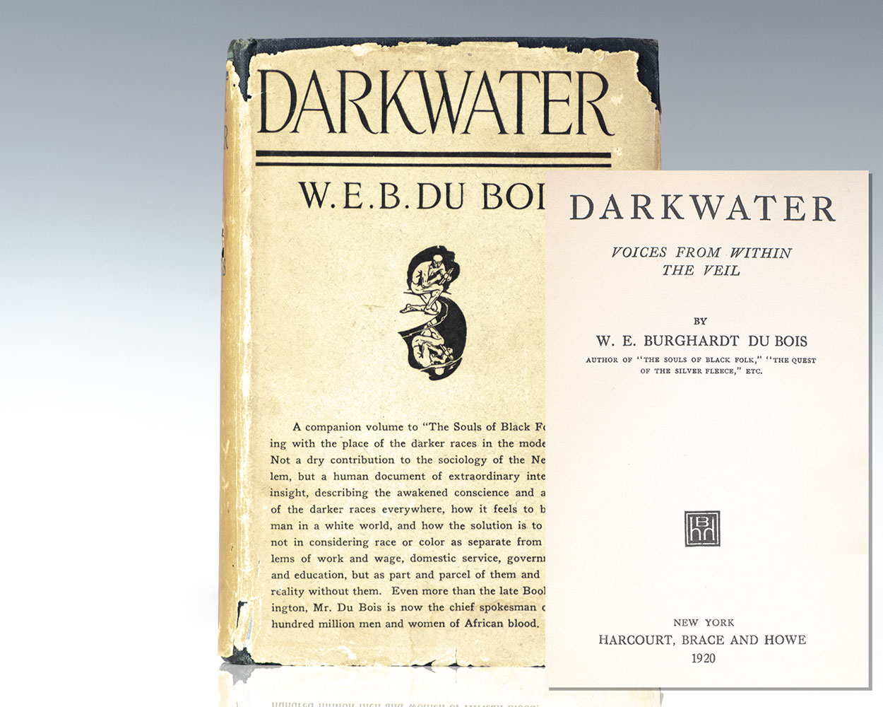Darkwater: Voices from Within the Veil.