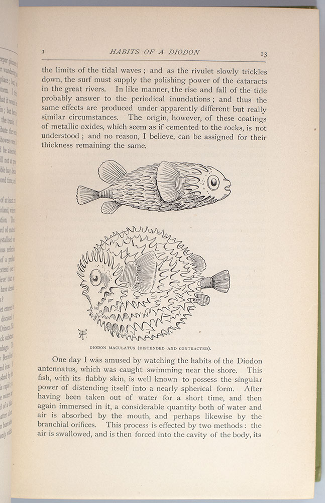Journal of Researches Into the Natural History and Geology of the Countries Visited During the Voyage Round the World of H.M.S. 'Beagle' Under the Command of Captain Fitz Roy, R. N.