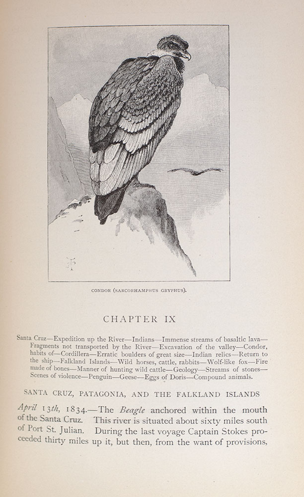 Journal of Researches Into the Natural History and Geology of the Countries Visited During the Voyage Round the World of H.M.S. 'Beagle' Under the Command of Captain Fitz Roy, R. N.