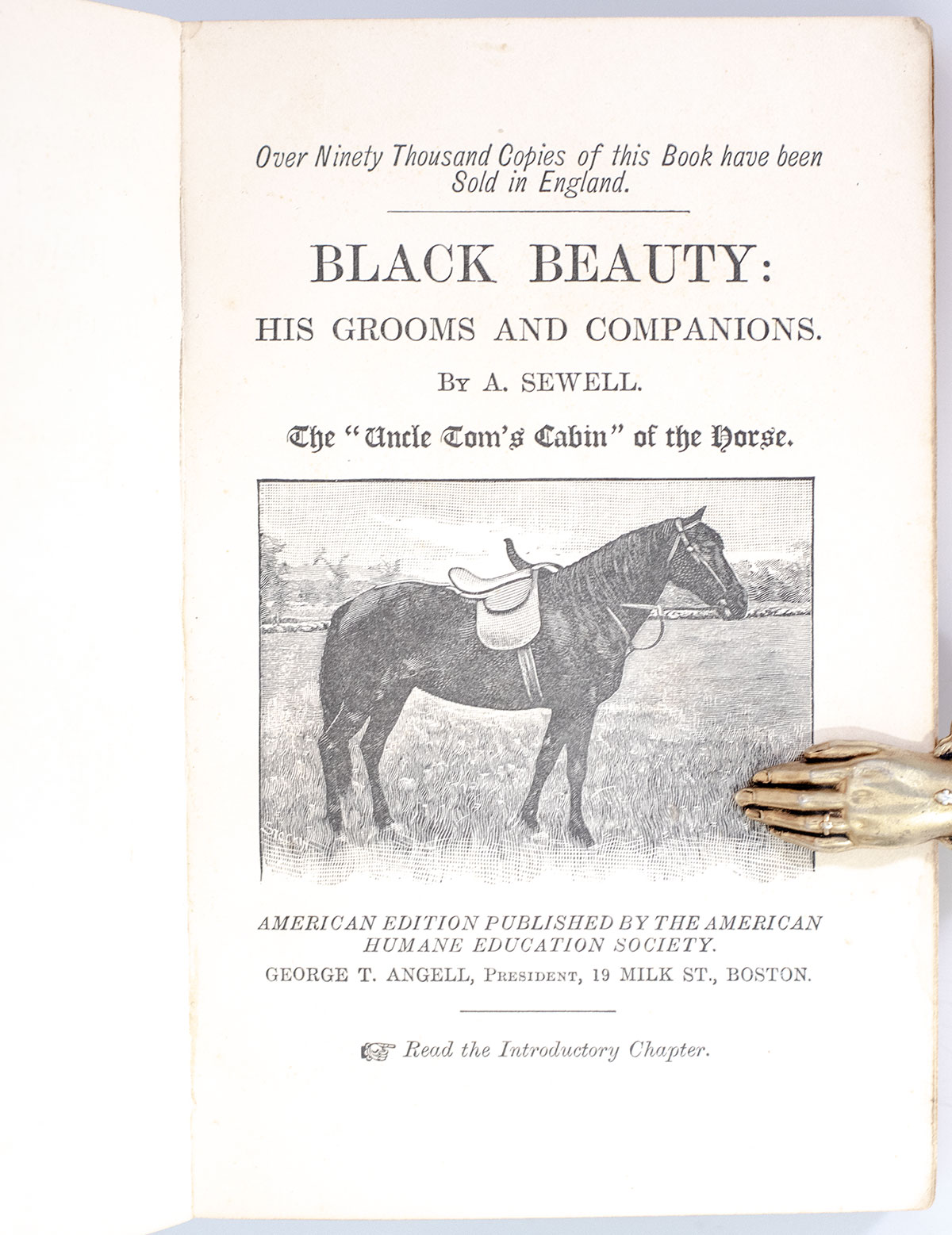 Black Beauty: His Grooms and Companions.