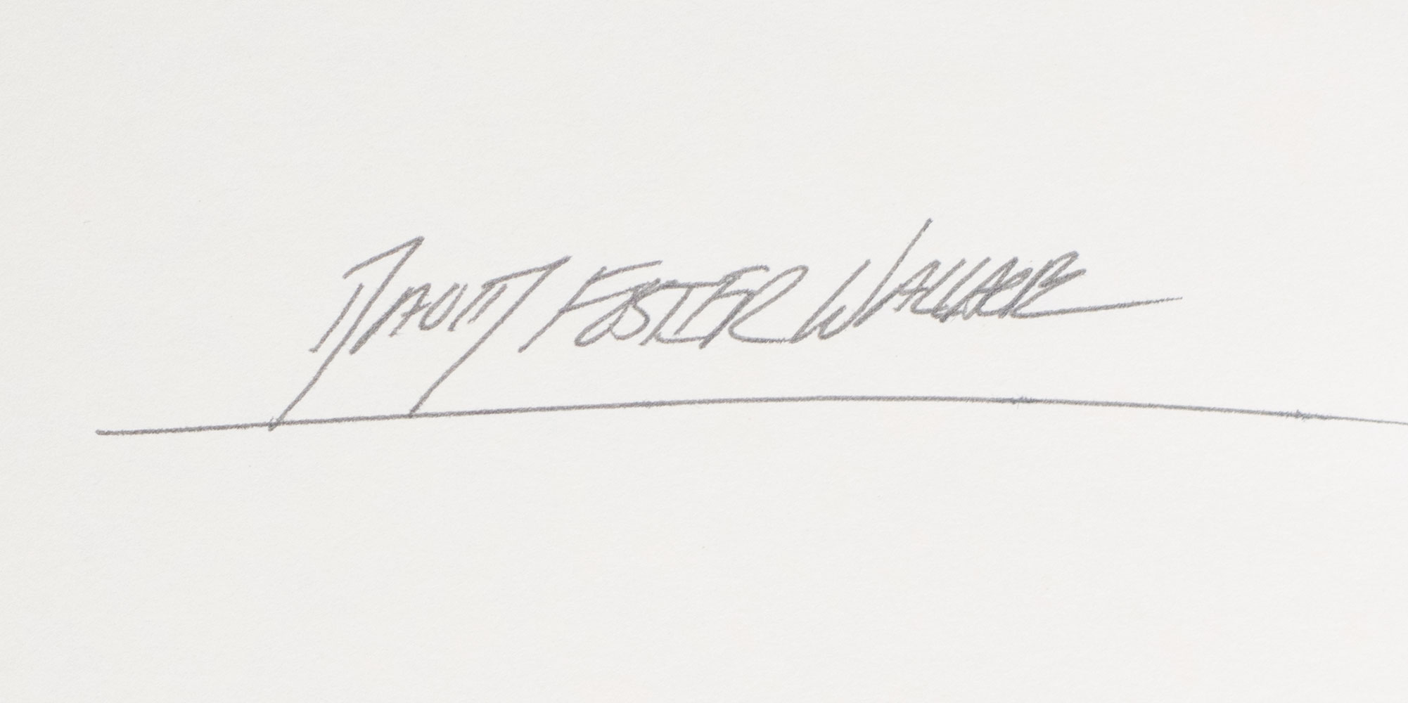 Infinite Jest: A Novel.