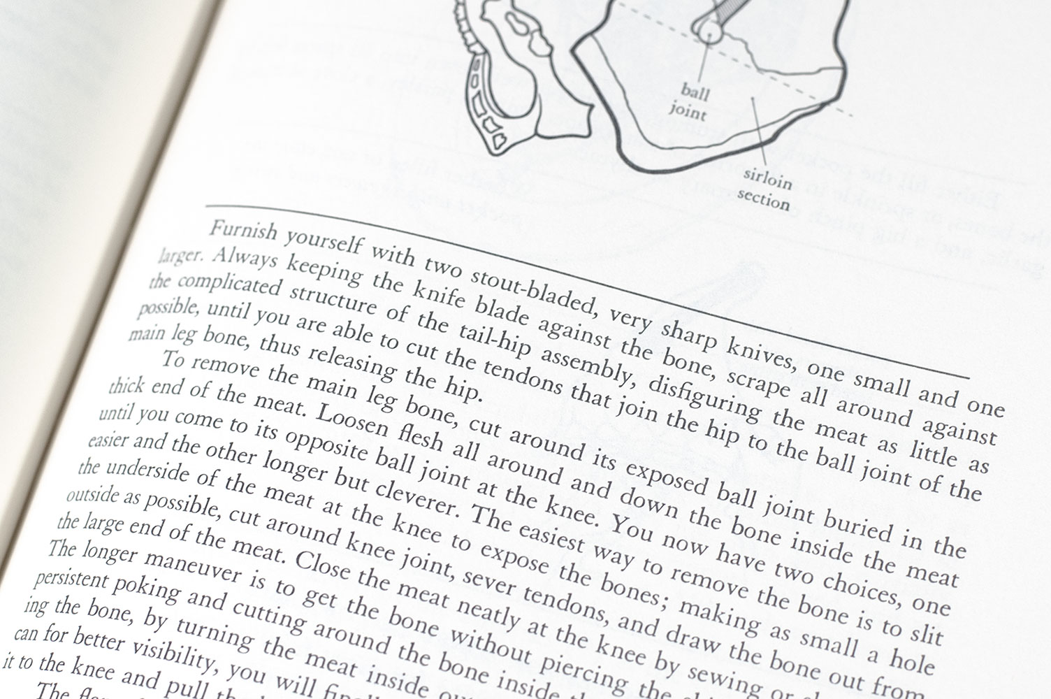 Mastering the Art of French Cooking: Volumes 1 & 2.