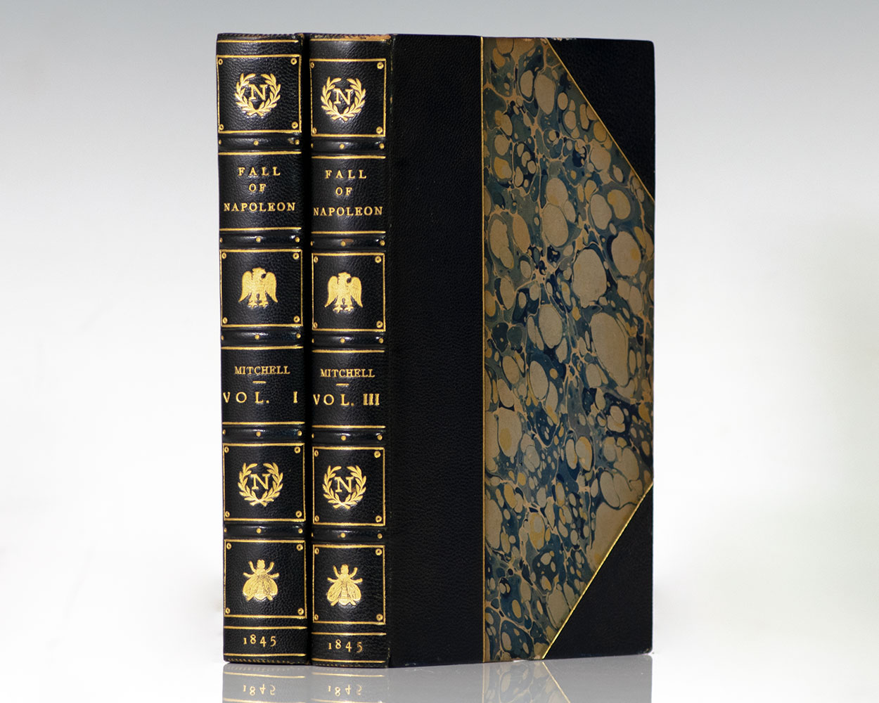 The Fall of Napoleon: An Historical Memoir.