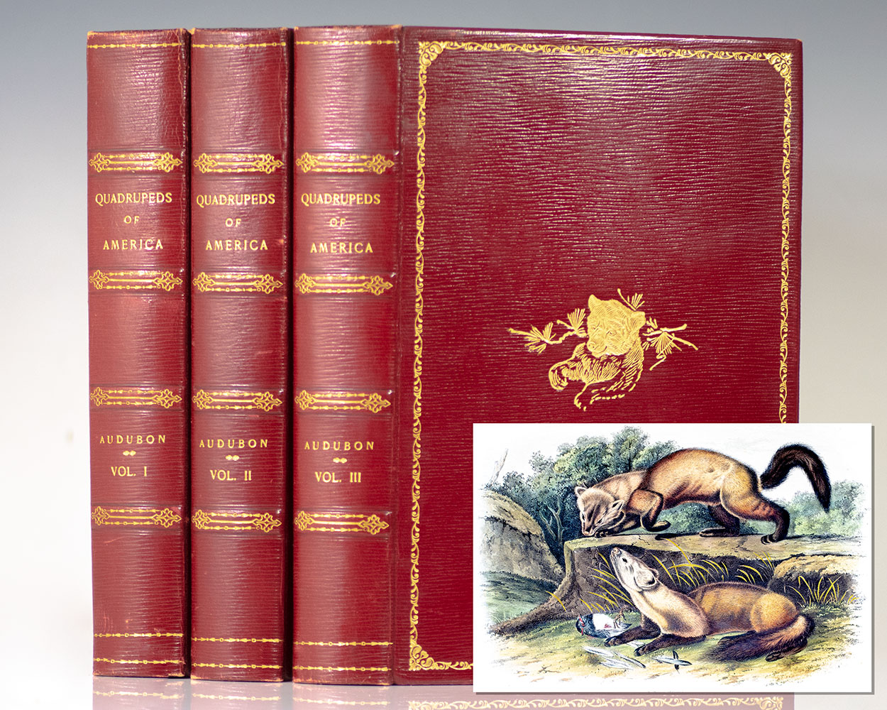 The Quadrupeds of North America.