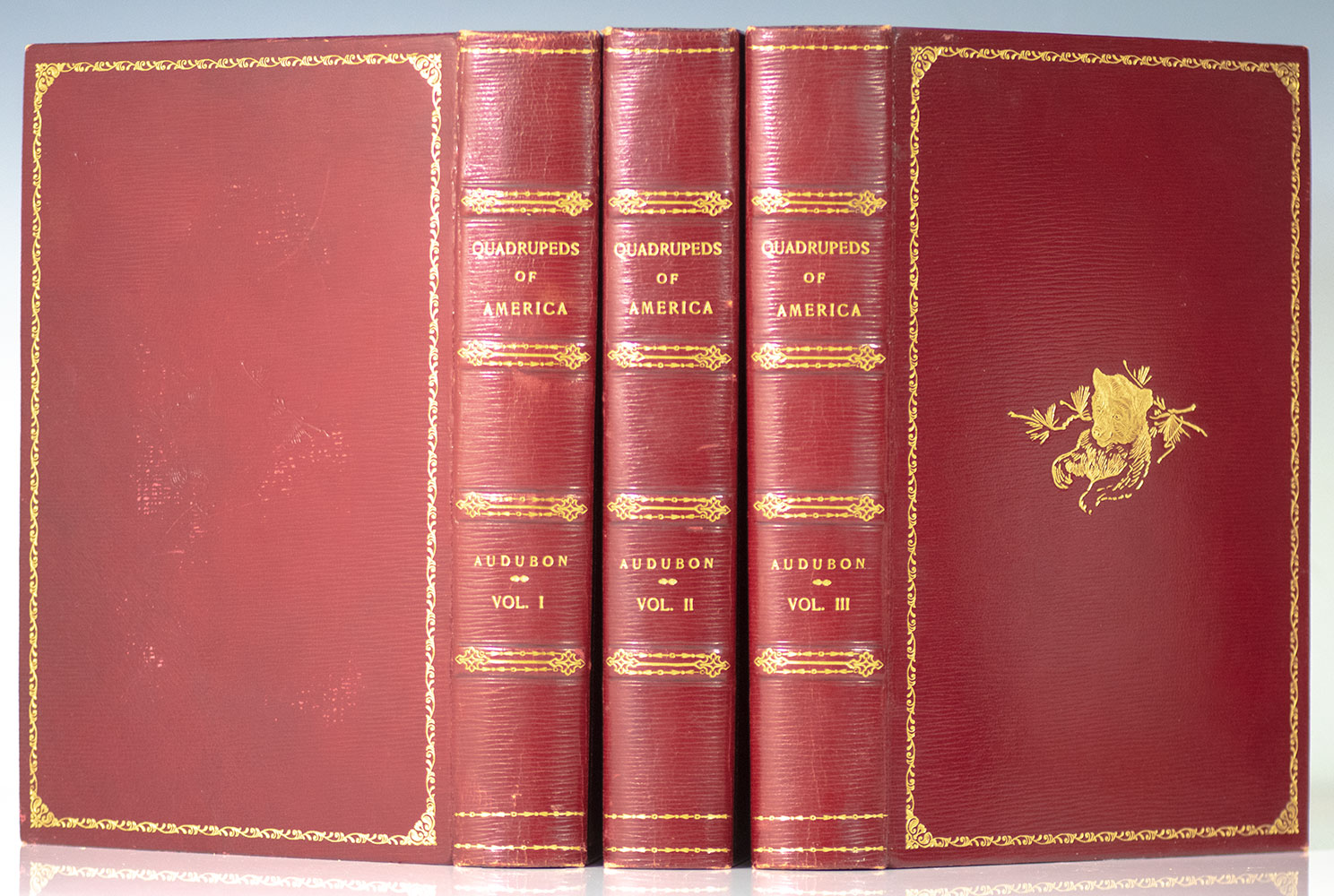 The Quadrupeds of North America.