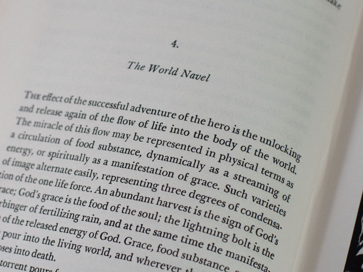 The Hero With A Thousand Faces.