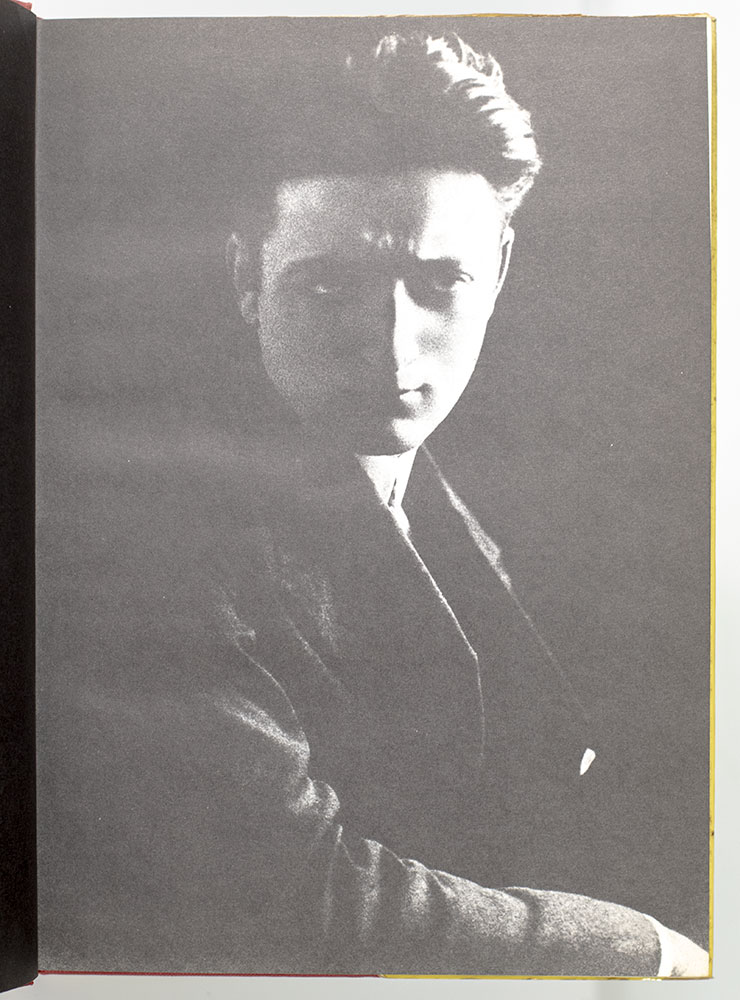 le briglie del successo.