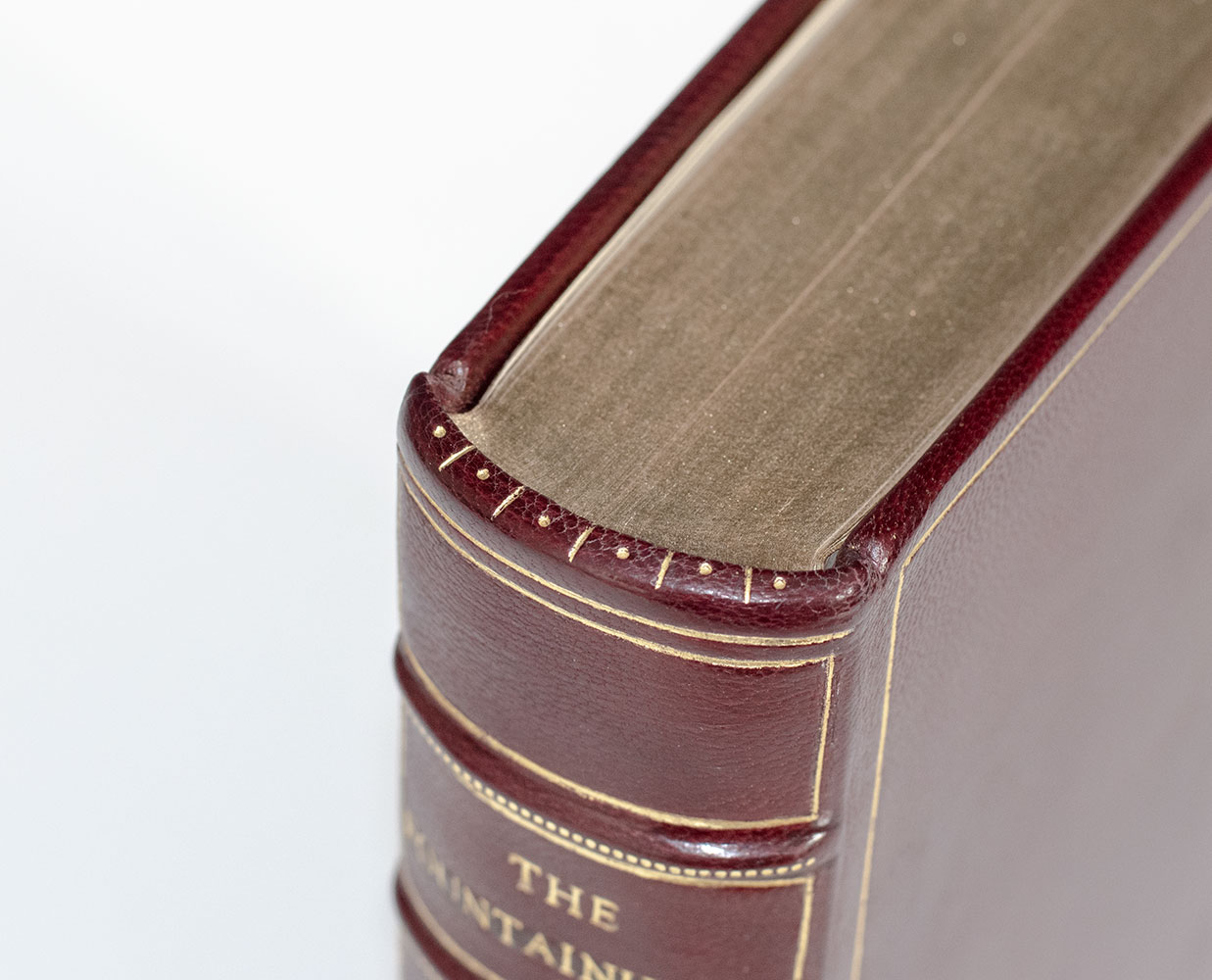 The Fountainhead and Atlas Shrugged.