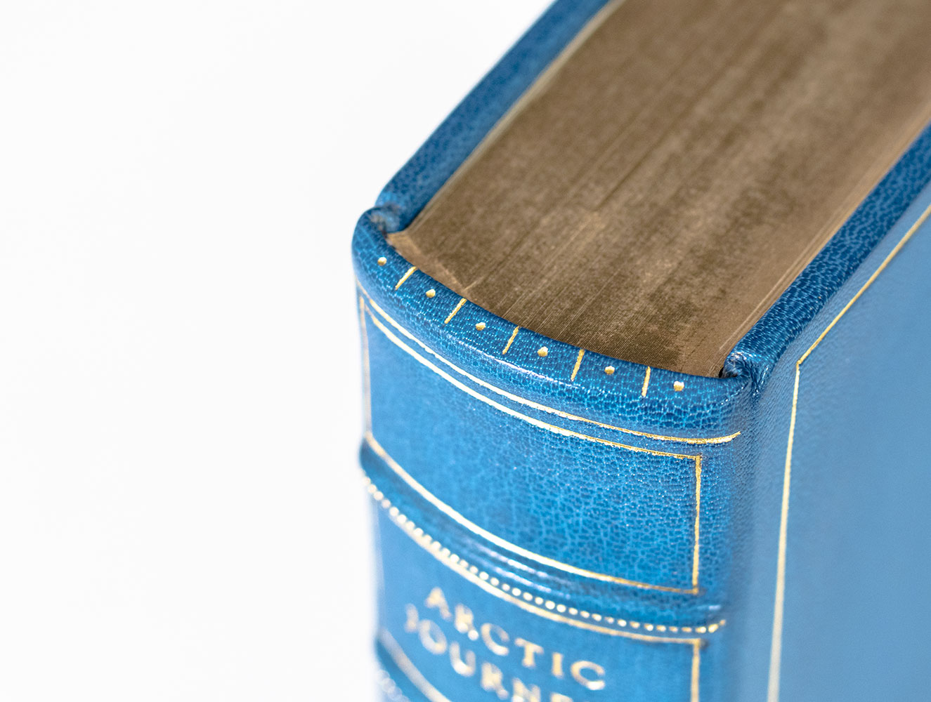 Arctic Journeys: The Story of the Oxford University Ellesmere Land Expedition.