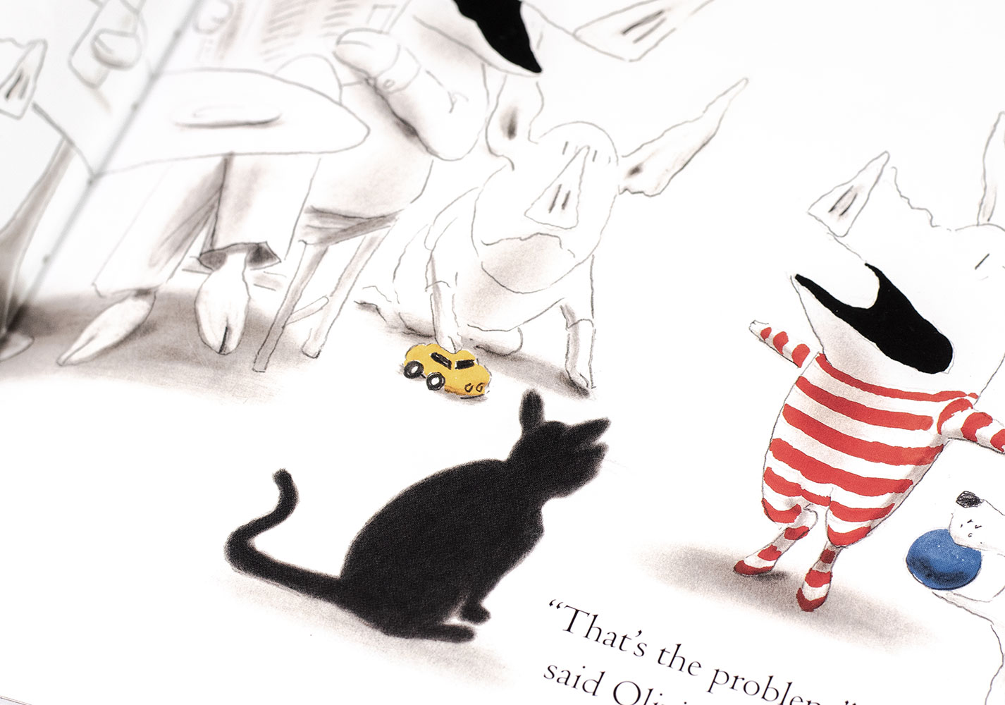 Olivia and the Fairy Princesses.