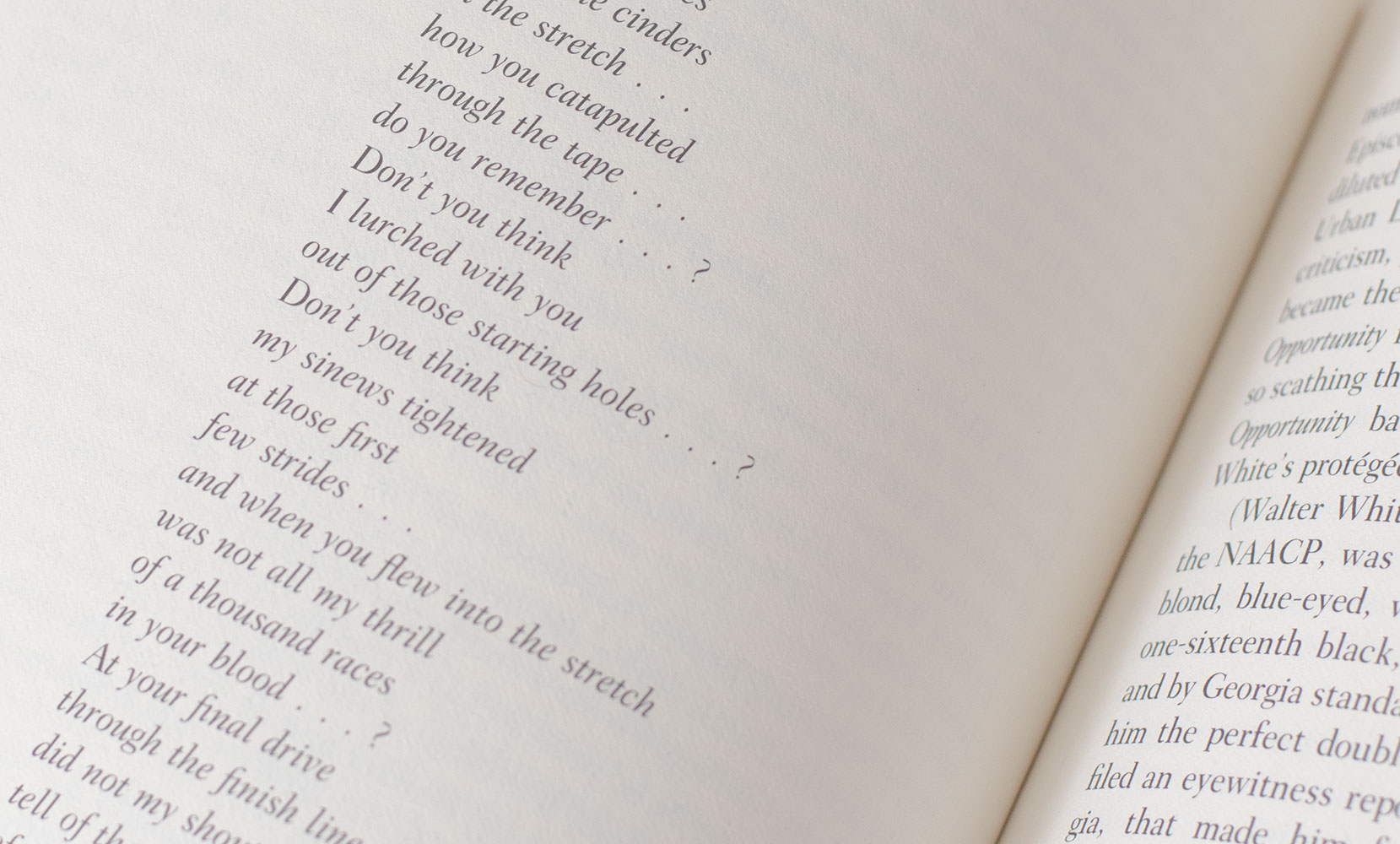 The Hornes: An American Family.