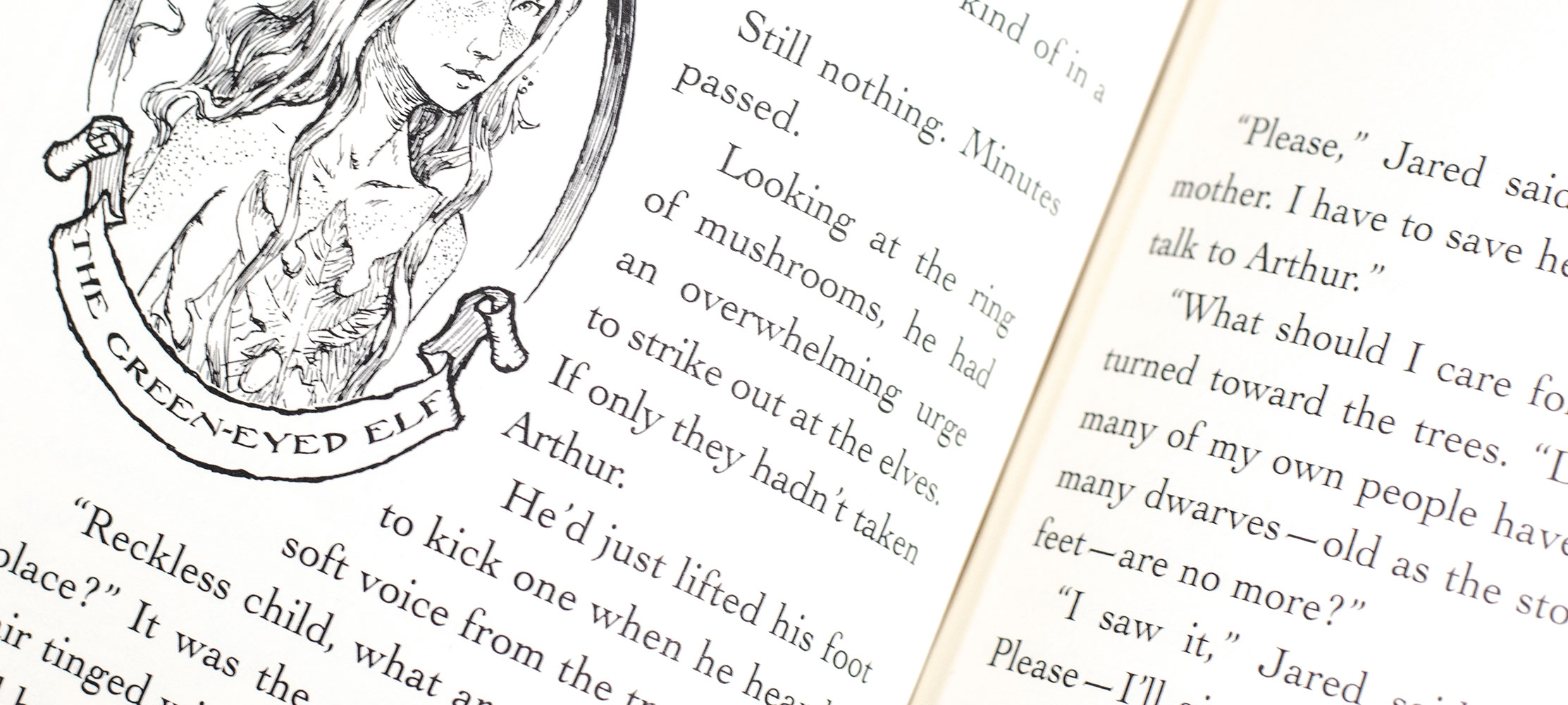 The Spiderwick Chronicles.