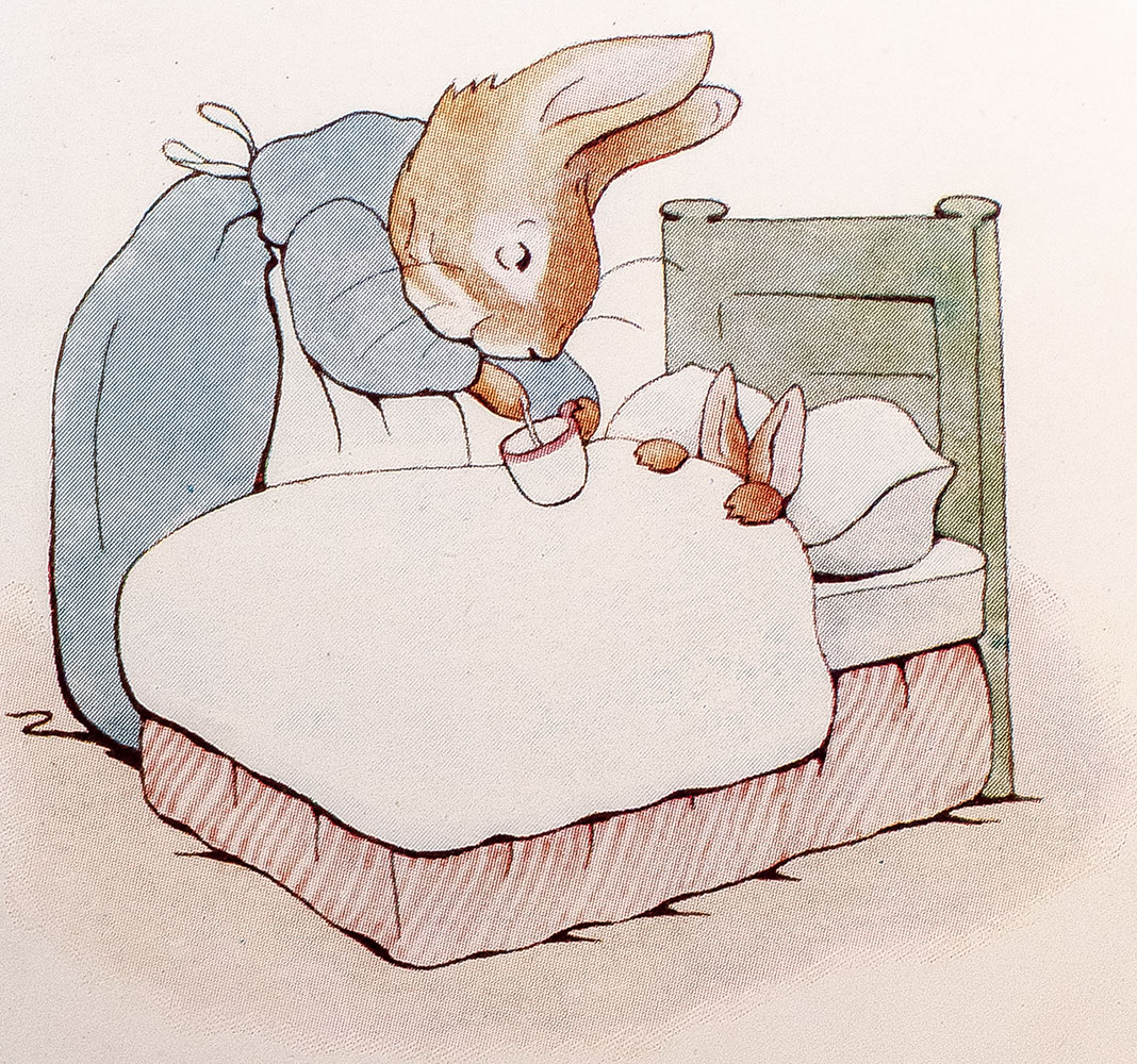 The Tale of Peter Rabbit.