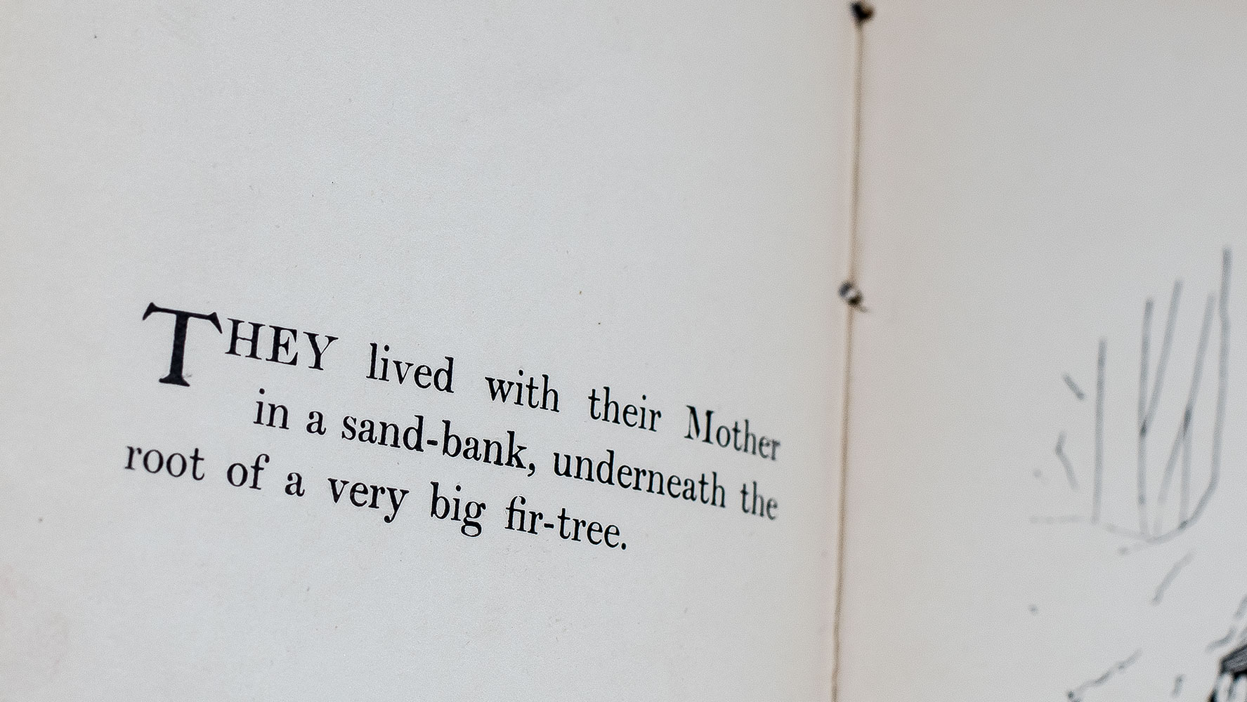 The Tale of Peter Rabbit.