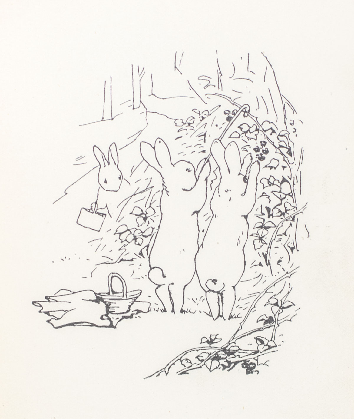 The Tale of Peter Rabbit.