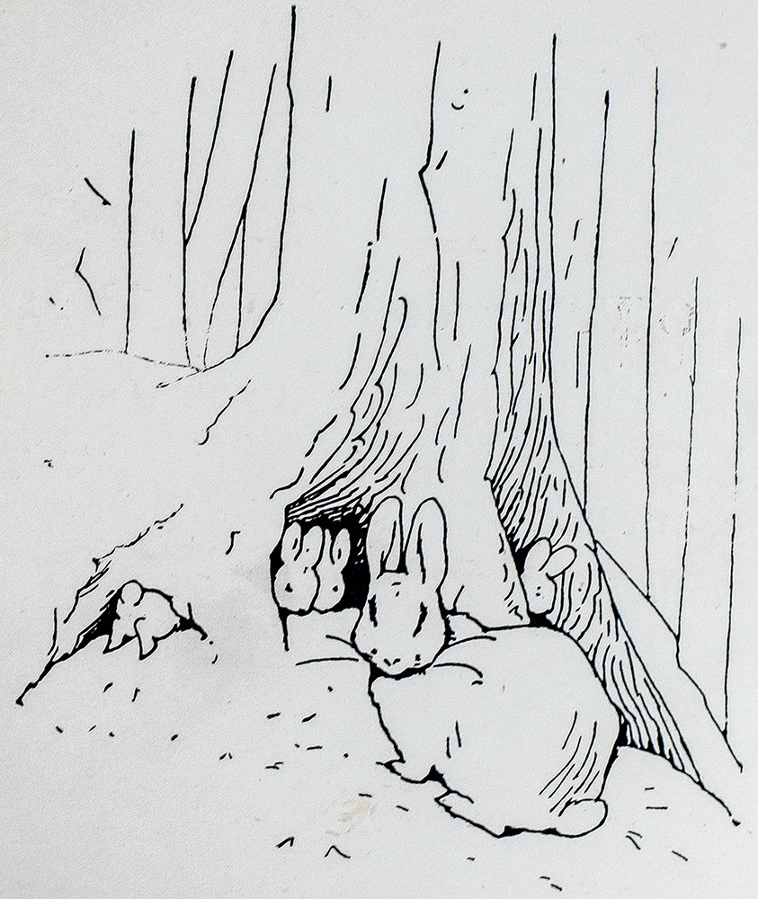 The Tale of Peter Rabbit.