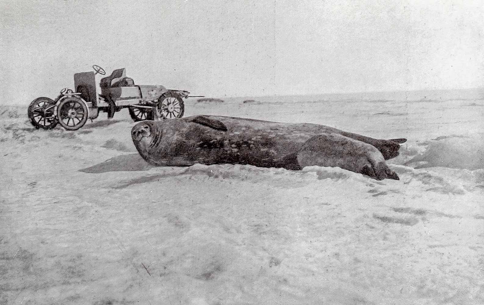 The Heart of the Antarctic: Being the Story of the British Antarctic Expedition 1907-1909.