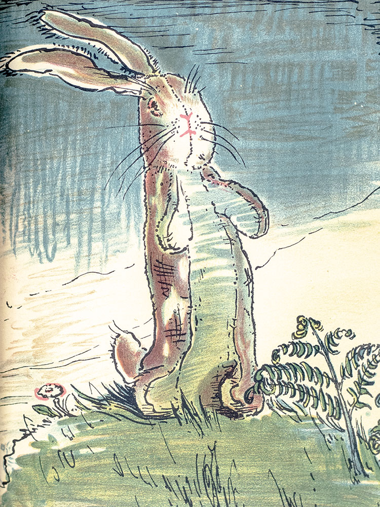 The Velveteen Rabbit or How Toys Become Real.