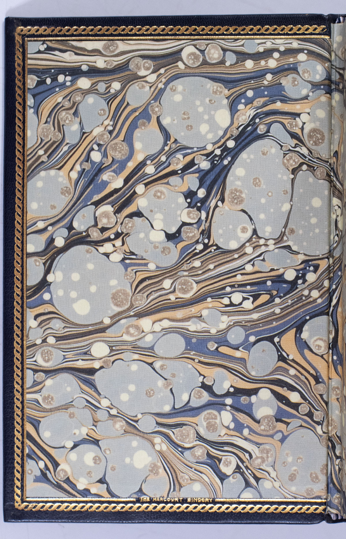 A Portrait of the Artist as a Young Man.