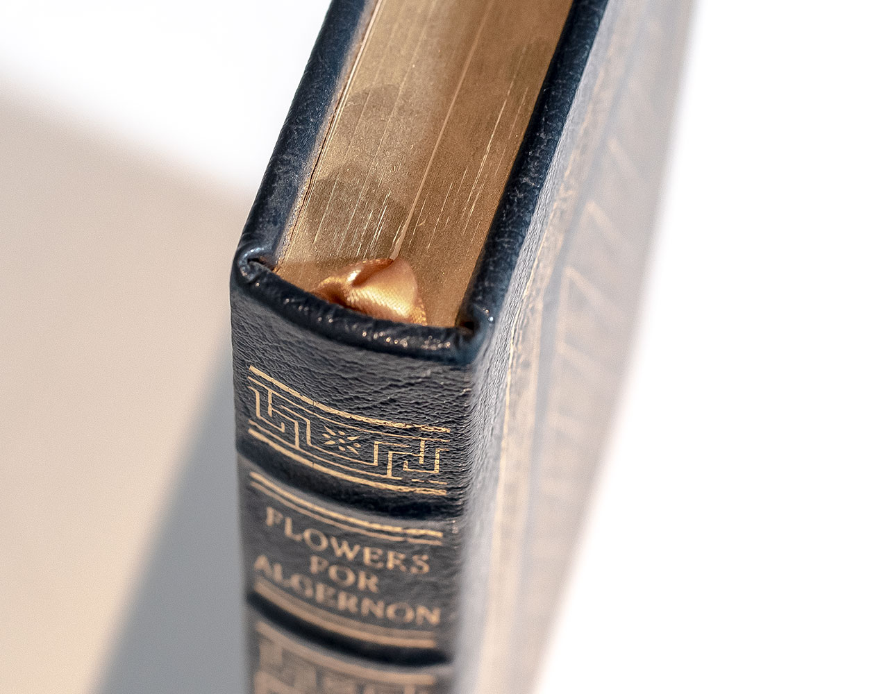 Flowers for Algernon.