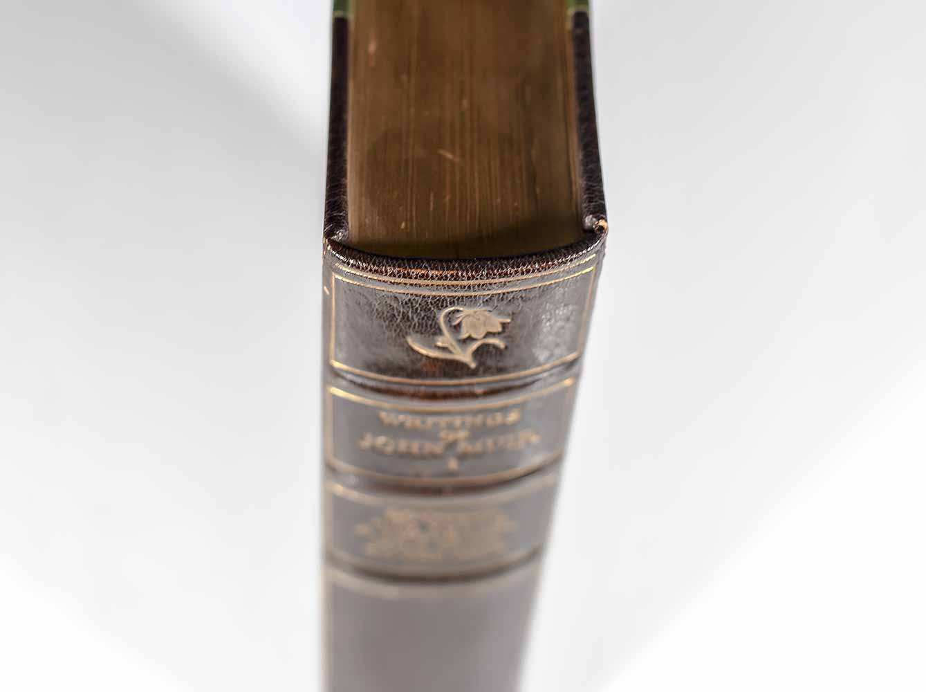 The Writings of John Muir: The Manuscript Edition.