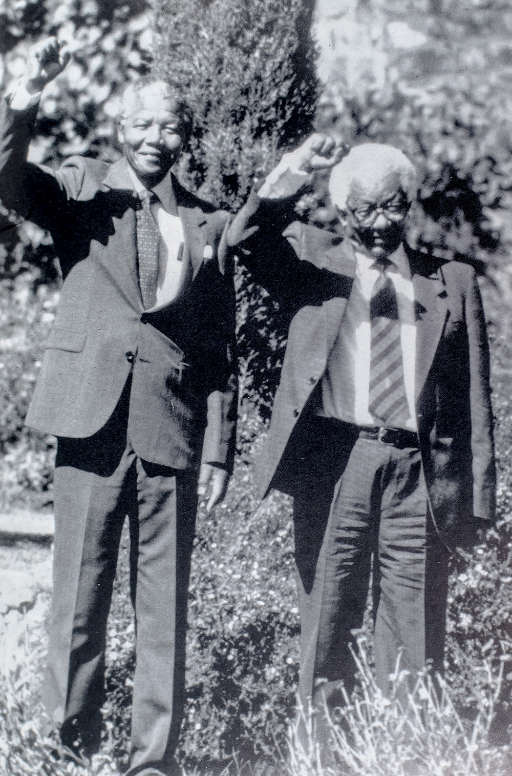 Long Walk To Freedom: The Autobiography of Nelson Mandela.