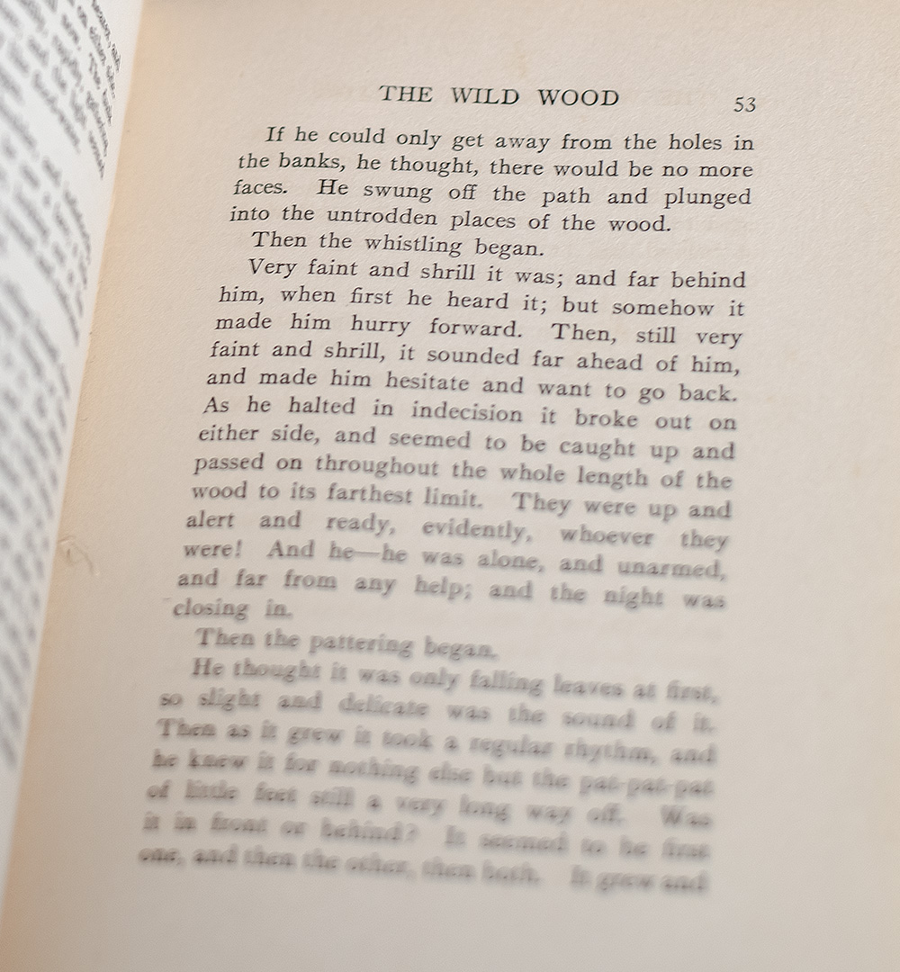 The Wind in the Willows.