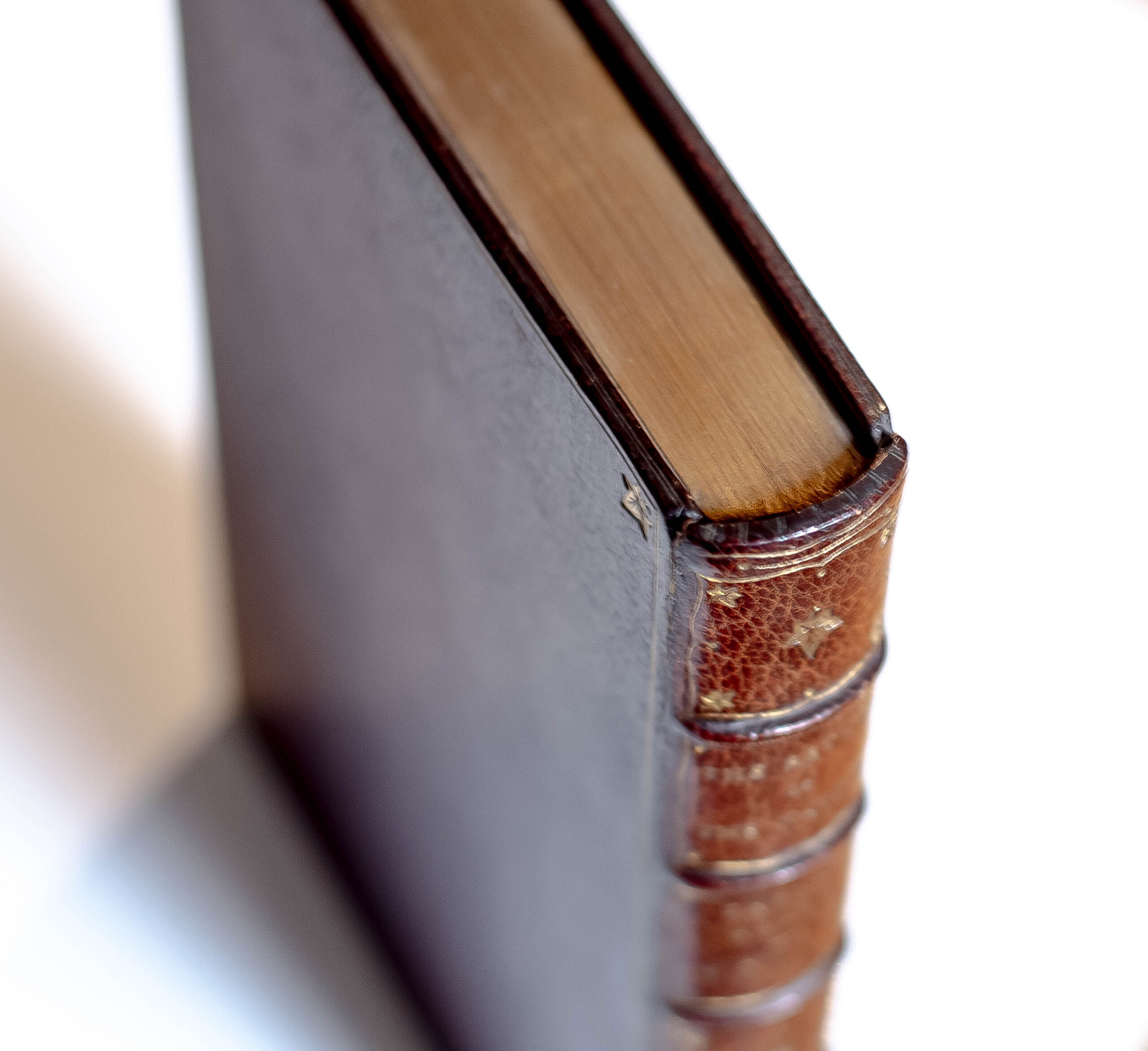 The Return of the Native.