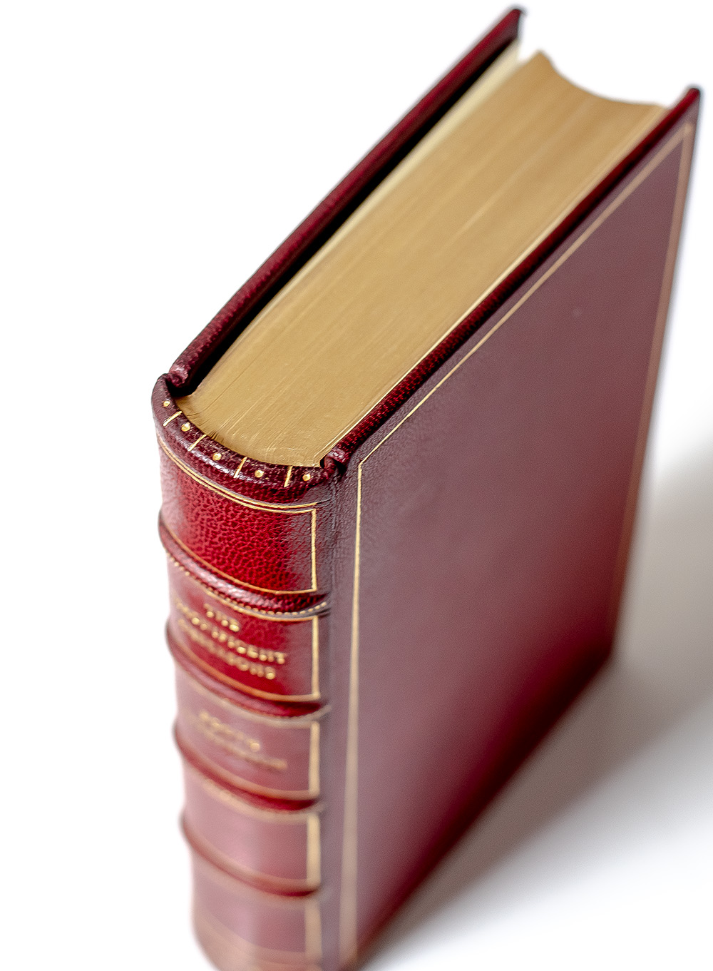 The Magnificent Ambersons