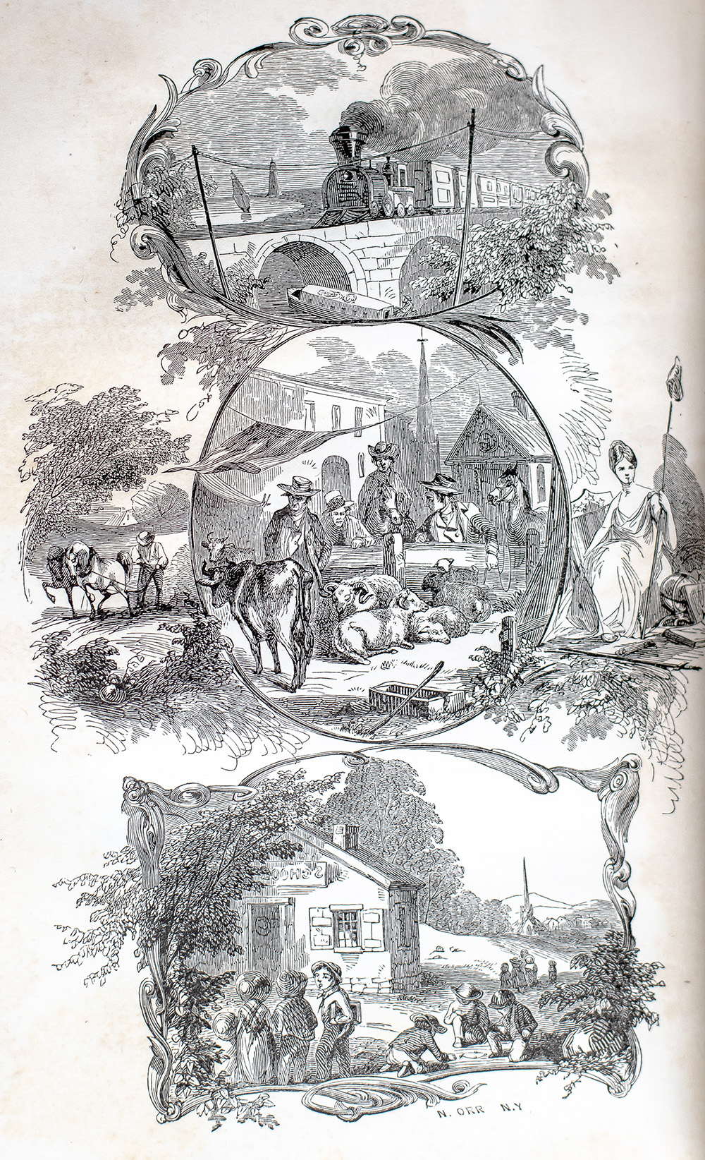 My Bondage and Freedom.