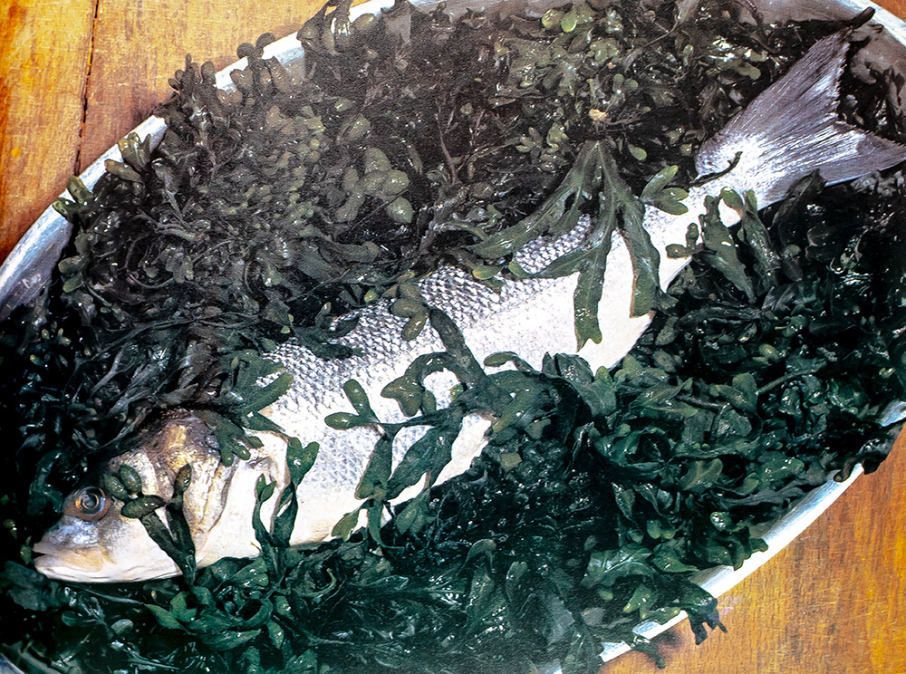 La Cuisine du Marche: en hommage a Alfred Guerot.