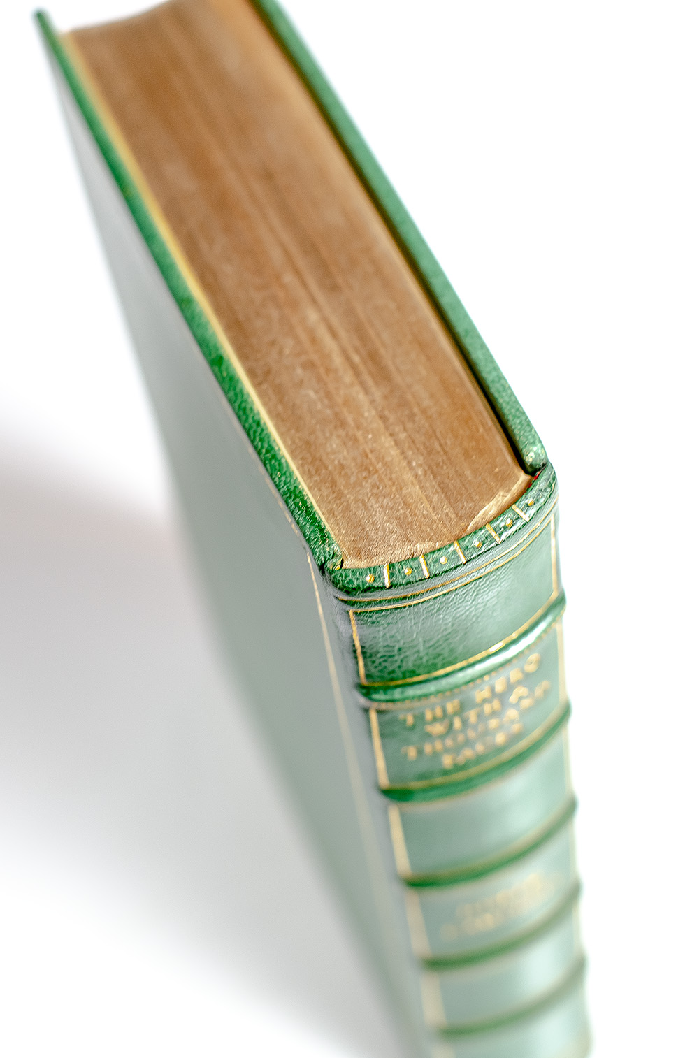 The Hero With A Thousand Faces.