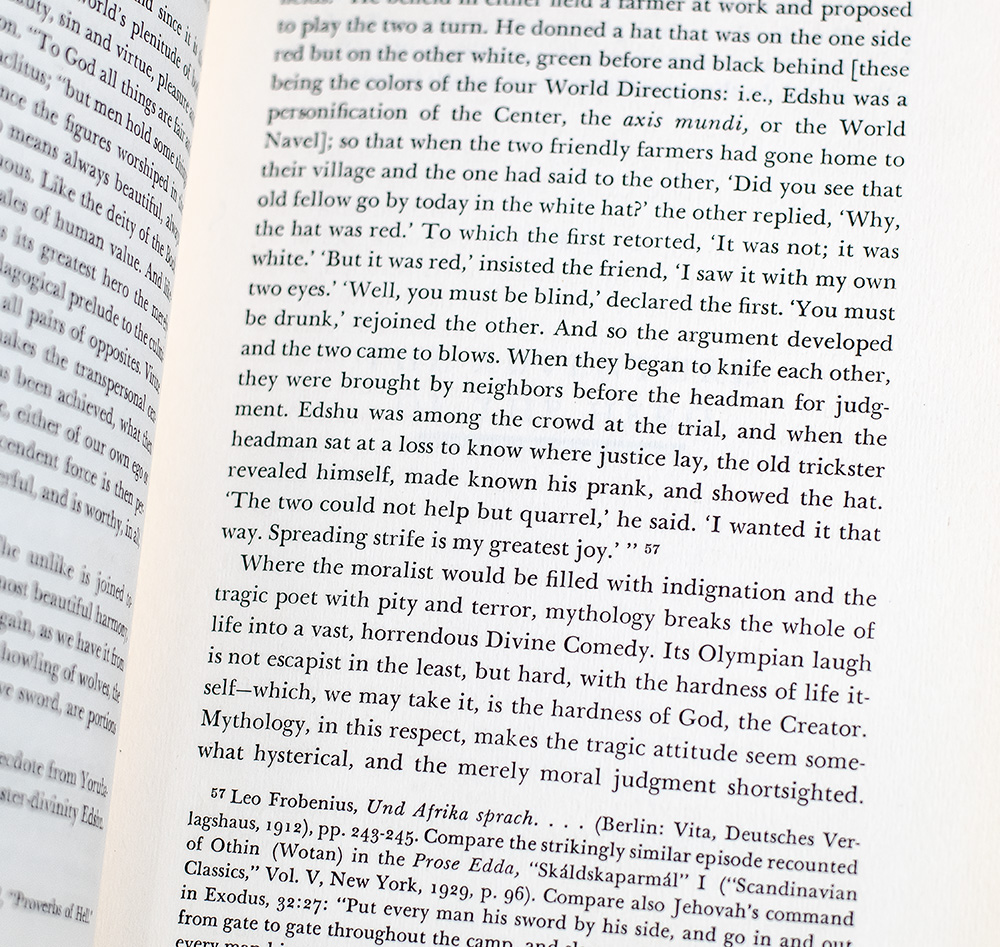 The Hero With A Thousand Faces.