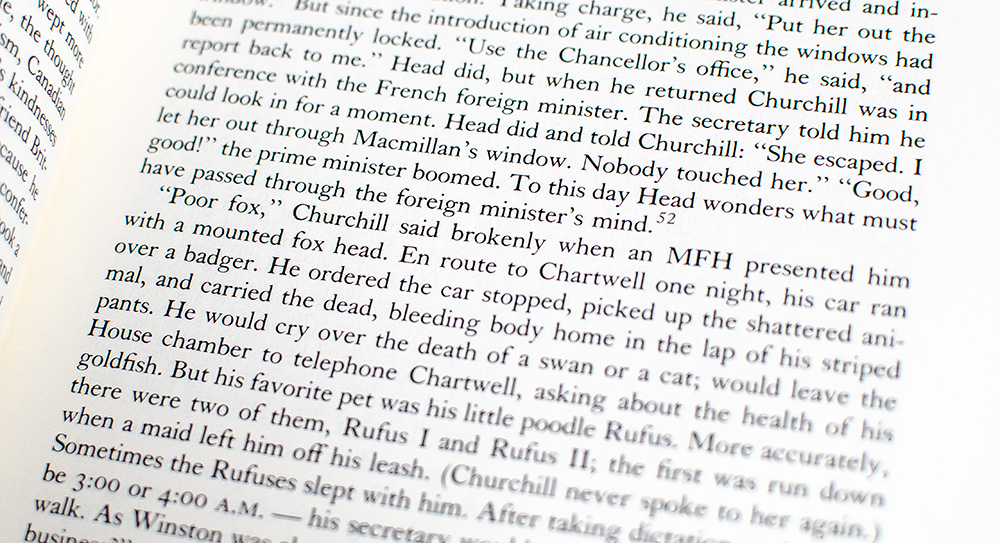 The Last Lion: Winston Spencer Churchill Visions of Glory, 1874-1932.