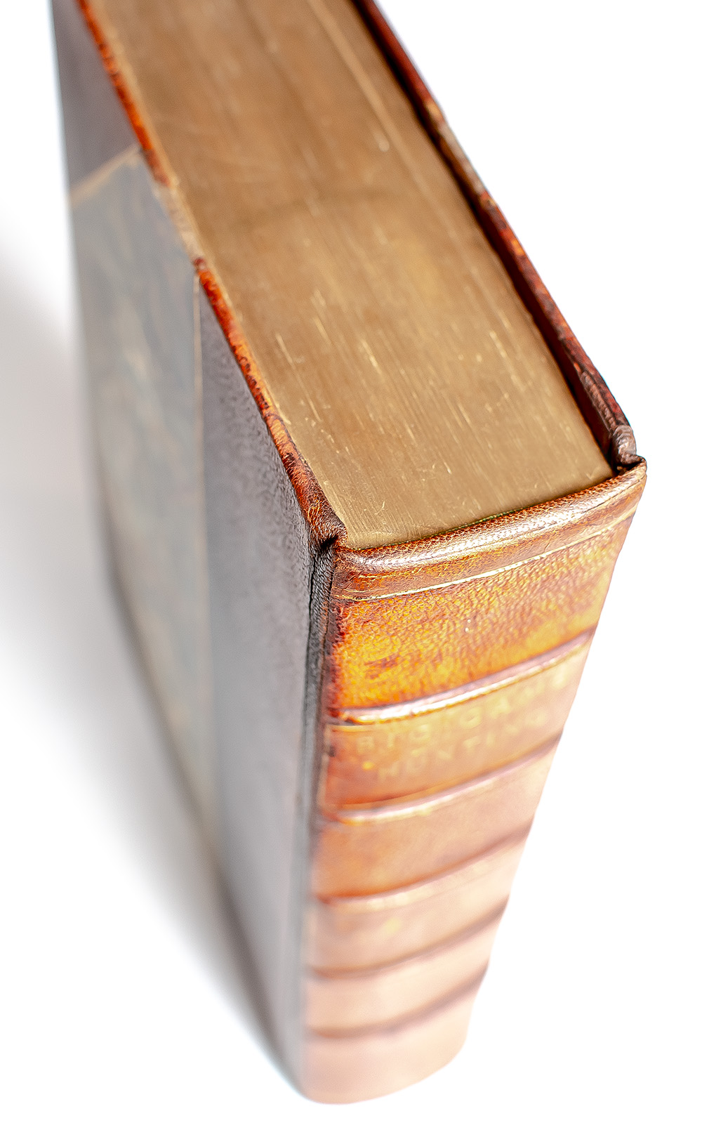 Big Game Hunting in the Rockies and On the Great Plains. Comprising “Hunting Trips of a Ranchman” and “The Wilderness Hunter.”