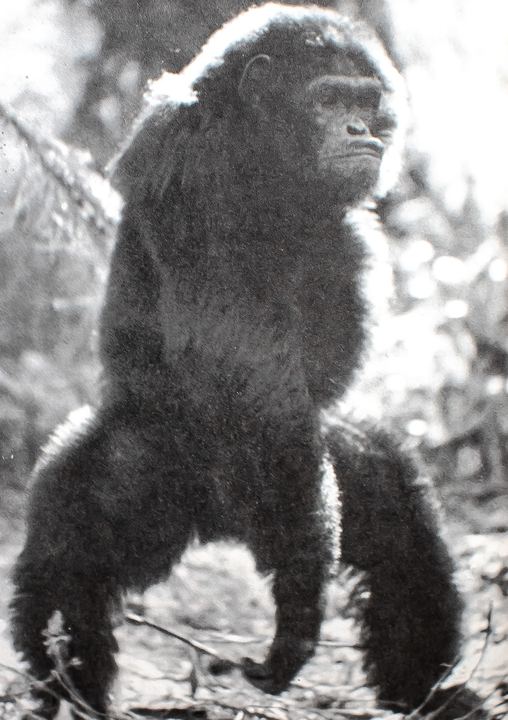 Reason For Hope: A Spiritual Journey.