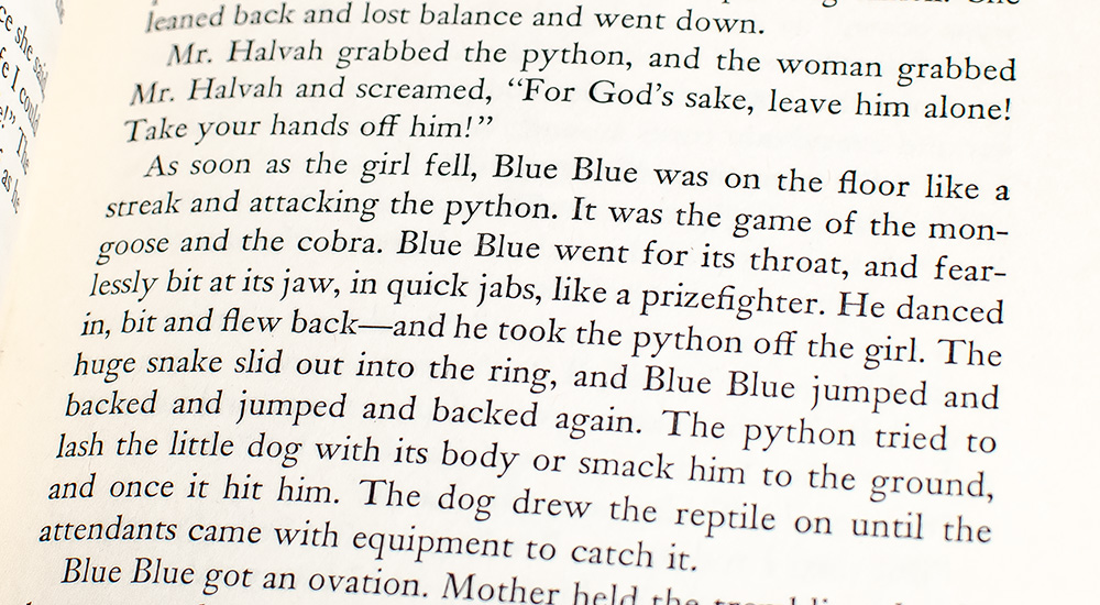 To the One I Love the Best.