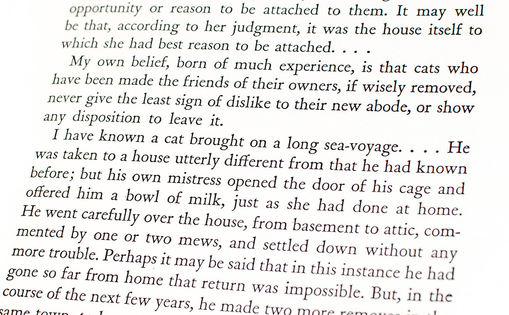 Alexander and Some Other Cats.