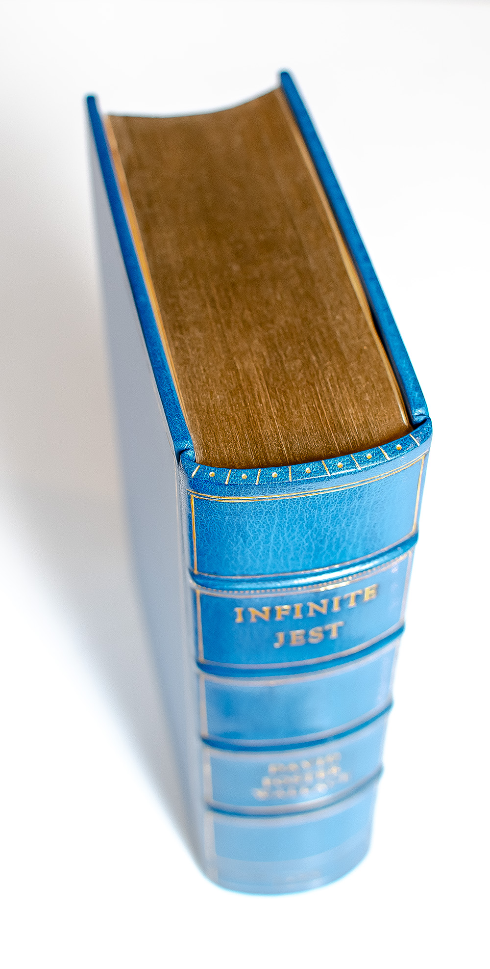 Infinite Jest: A Novel.