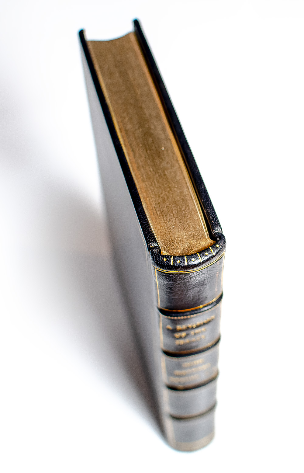 A Revision of the Treaty. Being A Sequel To The Economic Consequences of the Peace.