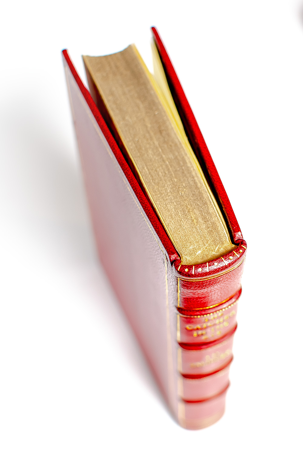 The Catcher In The Rye.